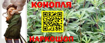 бошки Краснодар