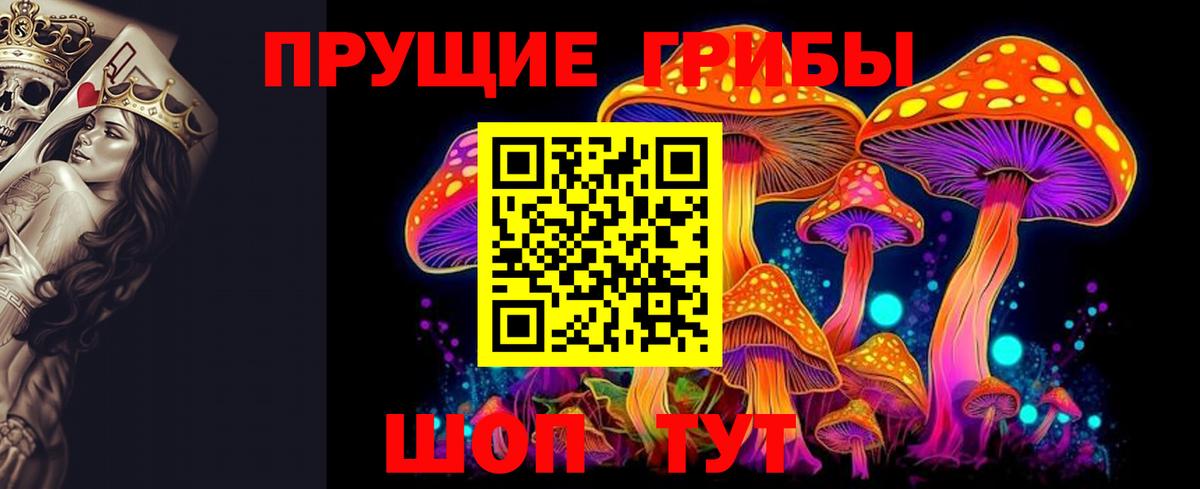 Клин  Псилоцибиновые грибы Cubensis  Вход с VPN 